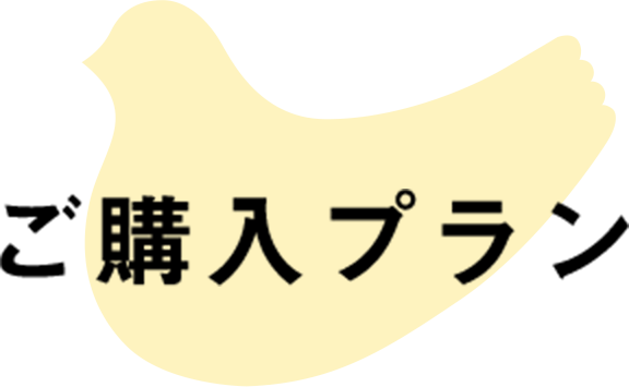 ご購入プラン